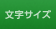 文字サイズ