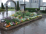 都市公園の修景花壇。