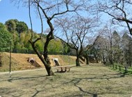 民有地を公園として再整備しました、雑木林や谷戸が残されており、豊かな自然と歴史が感じられます。